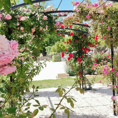 Gite En Provence Lavande Modene Kültér fotó