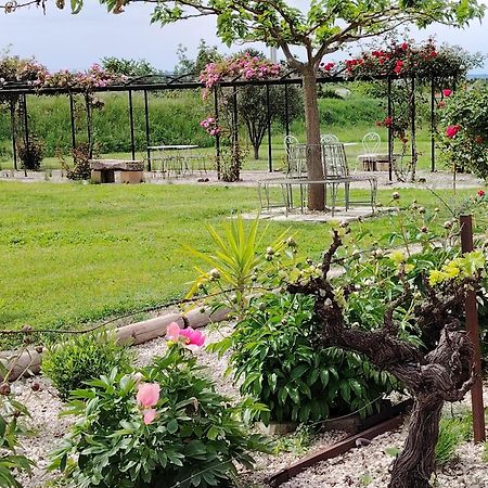 Gite En Provence Lavande Modene Kültér fotó