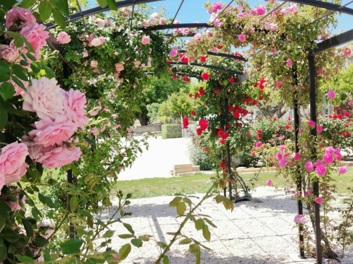 Gite En Provence Lavande Modene Kültér fotó