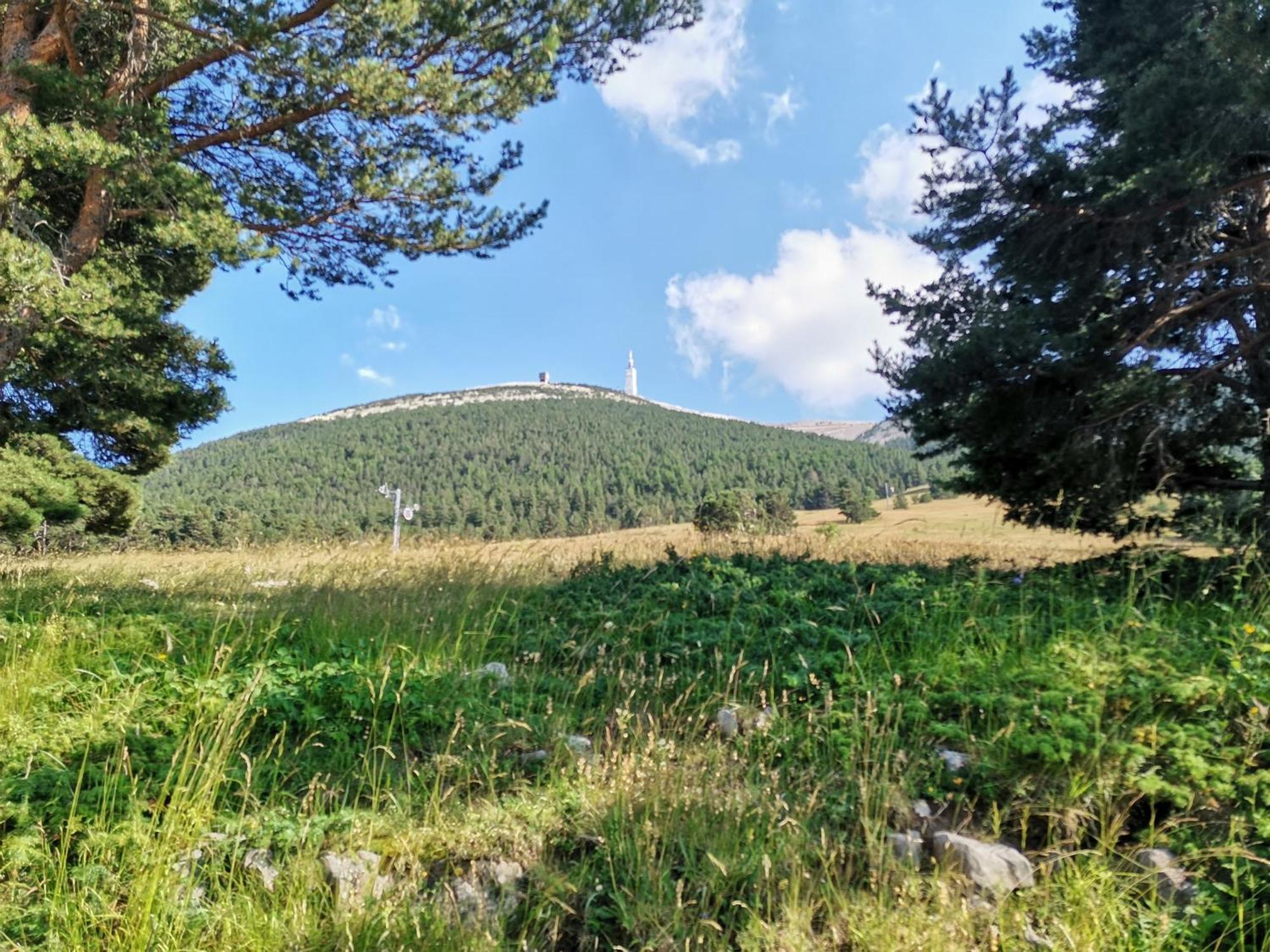 Gite En Provence Lavande Modene Kültér fotó