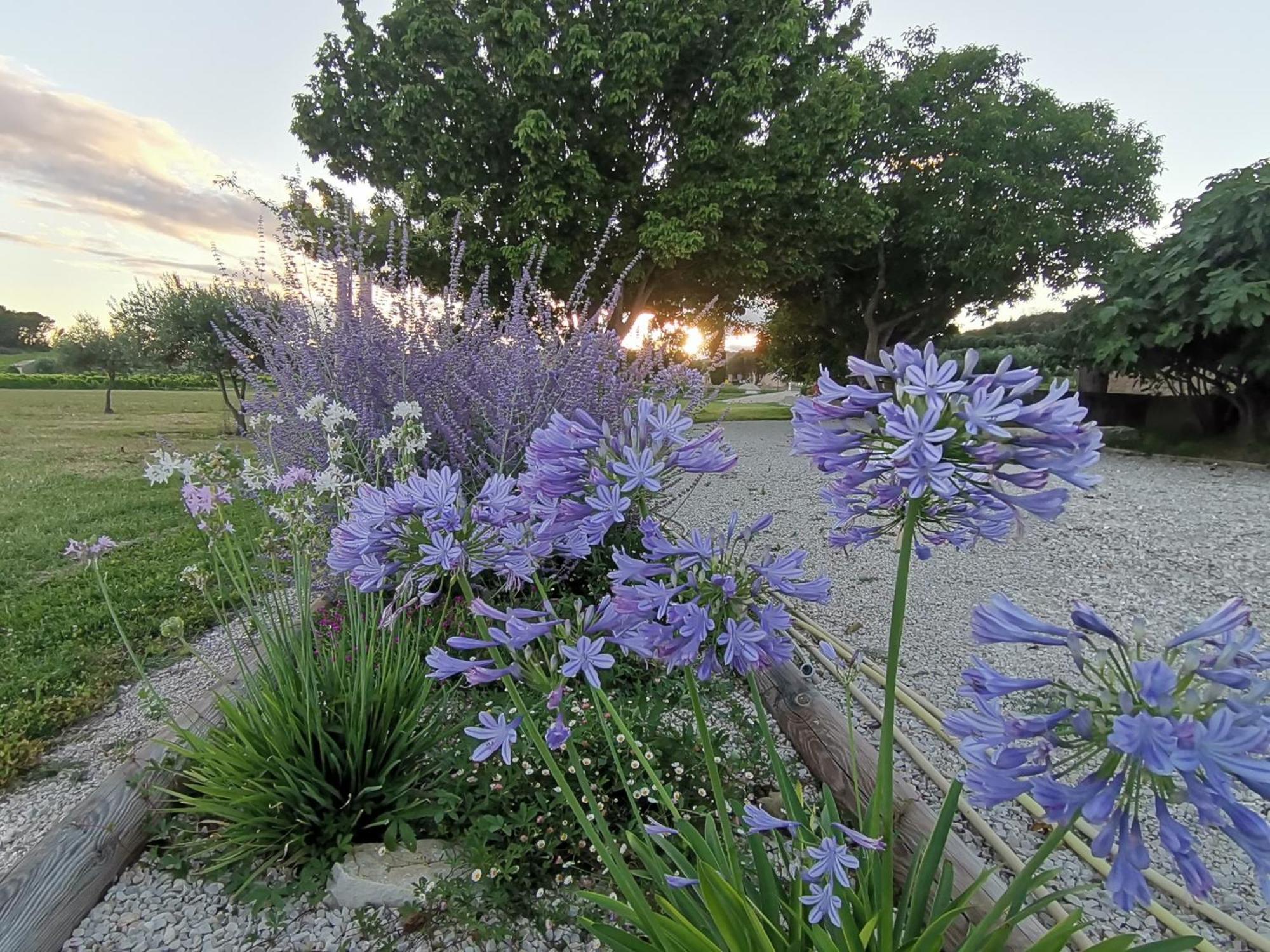 Gite En Provence Lavande Modene Kültér fotó