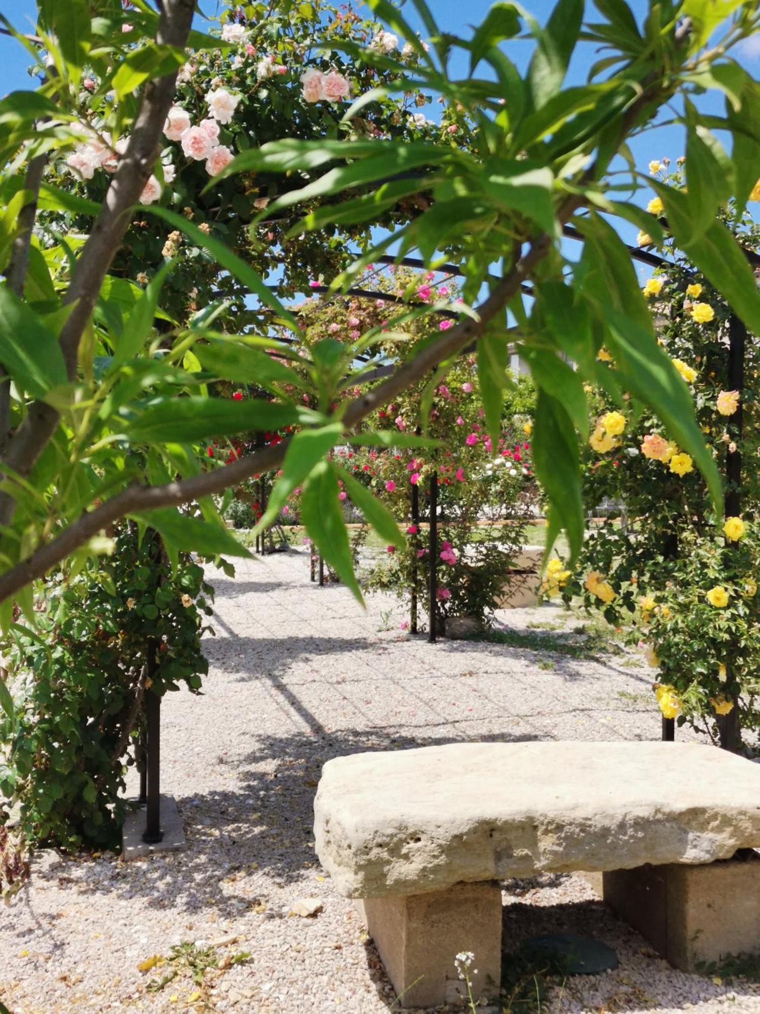 Gite En Provence Lavande Modene Kültér fotó